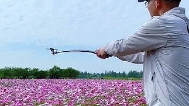 6种常用的运镜技巧，随手一拍就是大片#手机摄影 #手机运镜 #春天的色彩 #四月不能错过的美丽花海