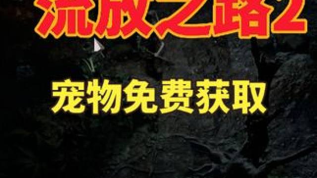 流放之路2宠物免费获得以及小白现阶段搬砖思路 #流放之路2 #流放之路2搬砖 #游戏搬砖