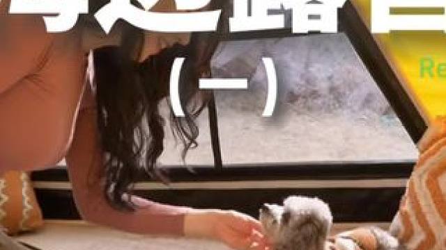 海边露营（一）带狗狗去海边露营也太酷了吧~#露营 #助眠 #解压 #萌宠 #户外露营