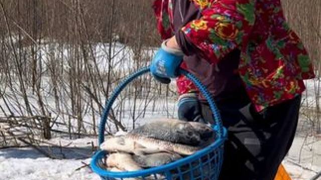 #户外捕鱼 #好多鱼