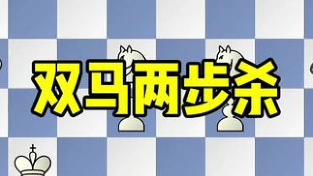 国际象棋双马两步杀