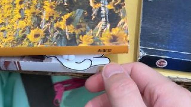 真捣蛋猫啊，这个我可以玩一整天~ #解压玩具 #玩个很新的东西