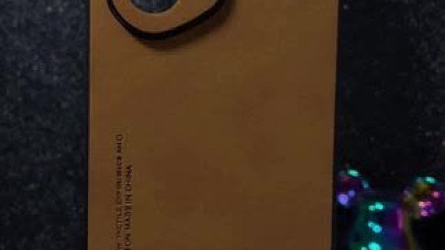 荣耀300高档羊巴皮手机壳，300pro/300ultra壳 #荣耀300手机壳#荣耀300pro手