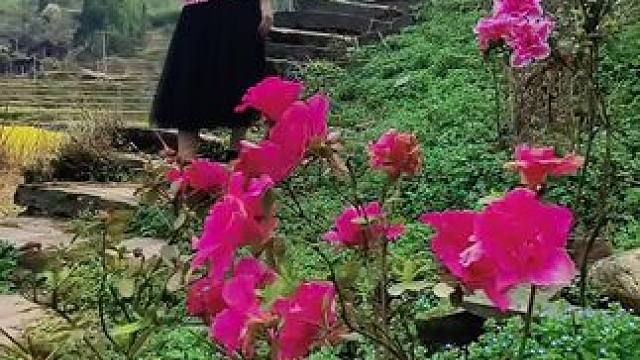 多想一觉醒来又回到小时候，父母还是年轻时候的模样，而我还是一个孩子，一切还是最初的样子#乡愁 #我的