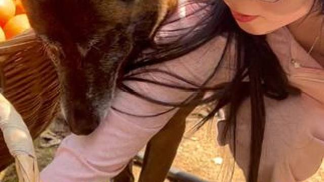 接下来请看舔狗毛衣的表演 #乡村田园生活 #优质农产品 #春日好食光  #狗狗 #伦晚脐橙