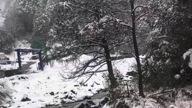 做为一个广东人你们有多久没有看到过下雪了#带你看雪景 #成都 #雪一落这里就美成了诗 #白茫茫一片 