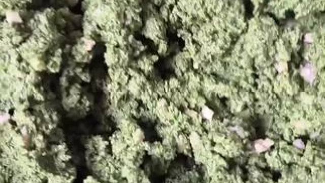 我发布了一个新视频，快来围观吧！