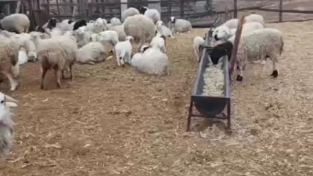 农村简单的生活