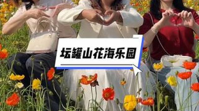 春天的开心是花花给的#春暖花开奔你而来 #拥抱春天的风景 #春天的氛围感还得靠花啊 #春天的味道都在