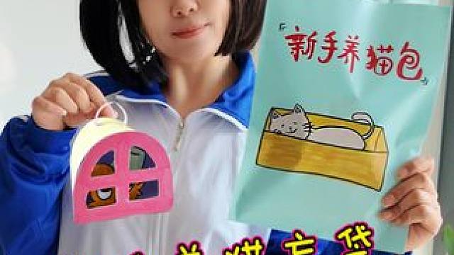 制作新手养猫包 给领养的节奏盒子布鲁德小猫一个家 #节奏盒子 #创意手工 #亲子手工 #手工制作 #