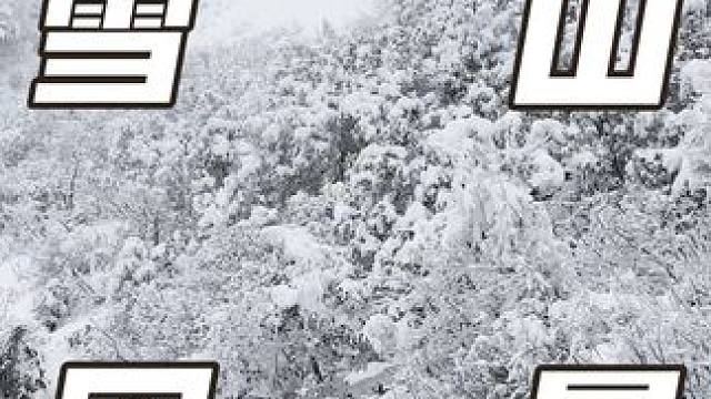 南方的朋友下雪啦！太美了#天怪热的看看雪景吧 #见过这么美丽的雪景吗 #南方孩子看见雪 #你的城市下