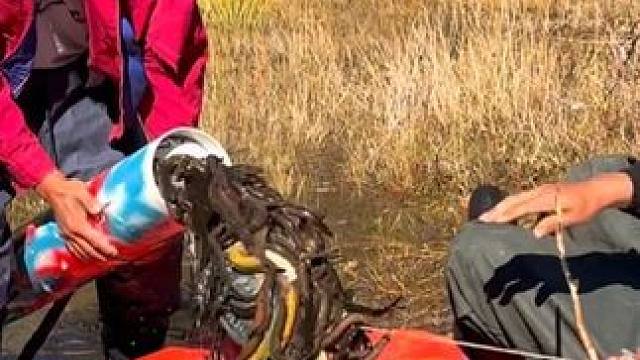 #户外捕鱼 #好多鱼