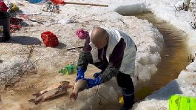 #户外捕鱼 #好多鱼