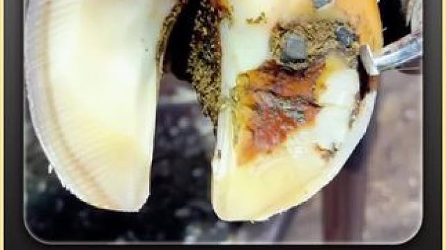 好嫩滑的玉足 #解压 #修蹄 #助眠 #强迫症 #极度舒适