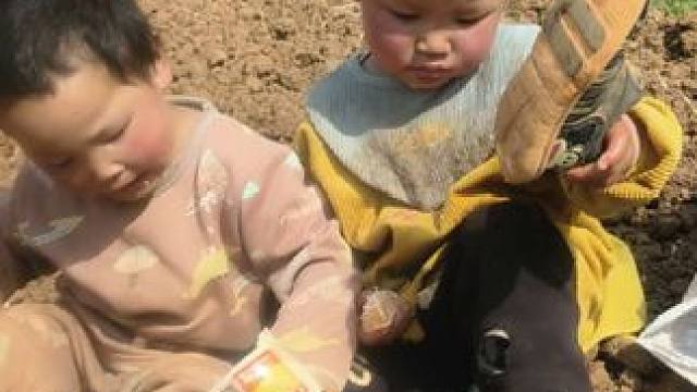 今天带双来地里干活。 #内容启发搜索