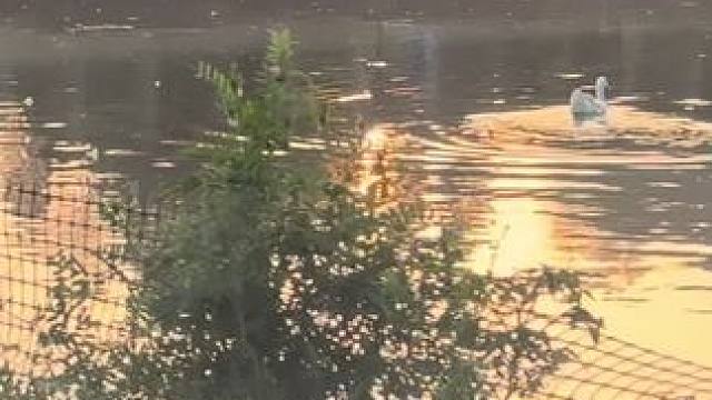 “爱是不能忘记的。” 