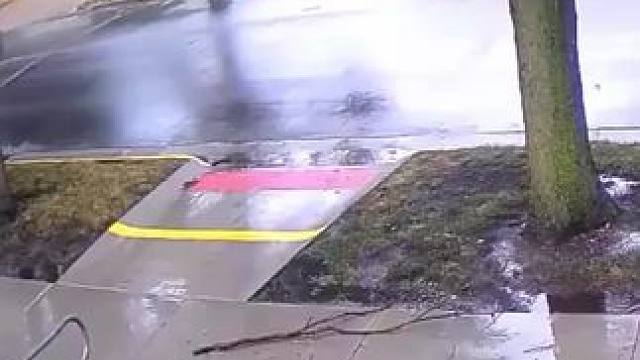 闪电仙人。 #闪电 #大自然的威力 #恶劣天气 #电闪雷鸣 #神奇的闲鱼