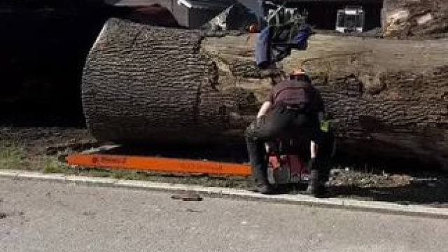 我发布了一个新视频，快来围观吧！