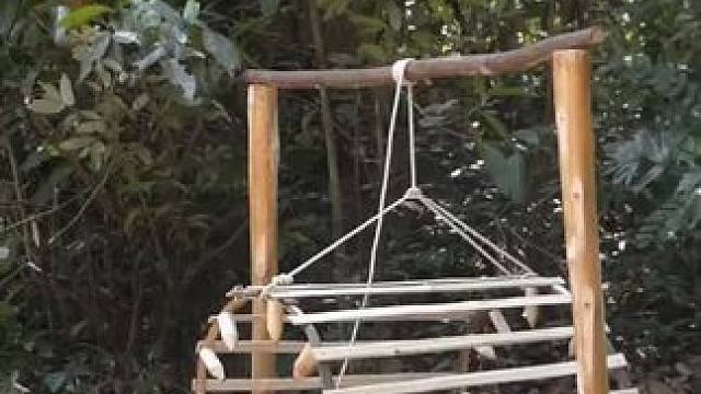 野生动物保护区 #养猪人加油干 #内容启发搜索 #养猪人 #见者好运 #乡村守护人