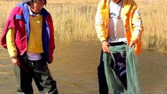 #户外捕鱼 #好多鱼