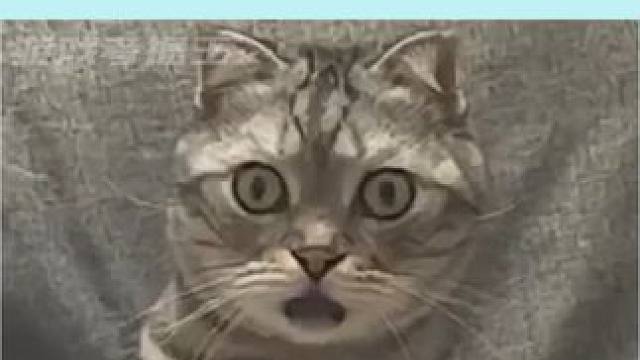 村里最好的宝剑 #深度 #绘本