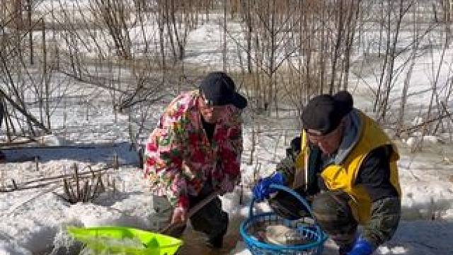 #户外捕鱼 #好多鱼