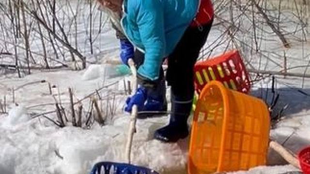 #户外捕鱼 #好多鱼