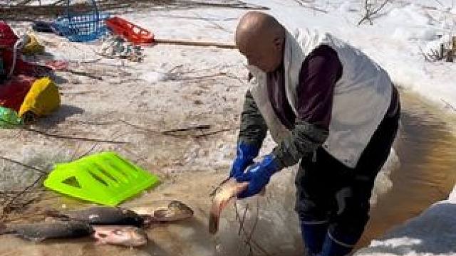 #户外捕鱼 #好多鱼