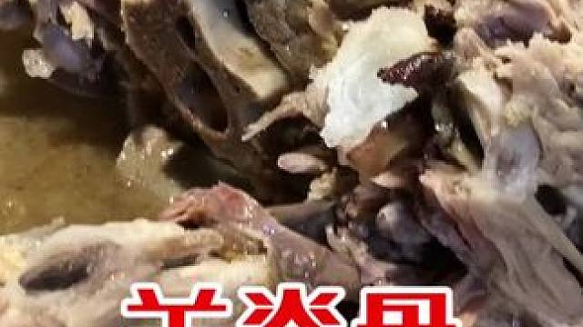 呼市这家老店〔羊脊骨火锅〕羊肉味道不错！大口吃肉大口喝酒 #万物皆可种草搜#内蒙古美食 #人间烟火 