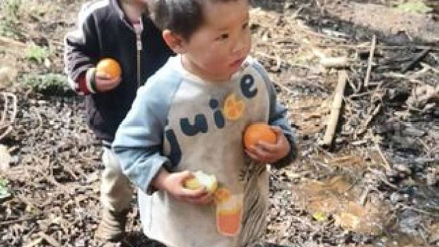 一大早，两个双双就去串门。 #内容启发搜索