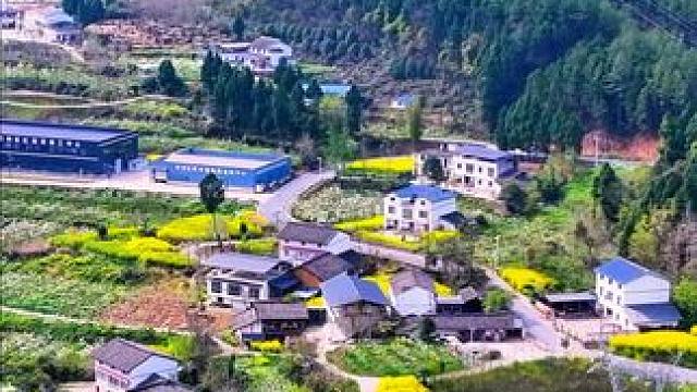 美丽乡村惊艳龙潭#千村万象乡影广元#春来广元#寻美中国 #记录家乡美景