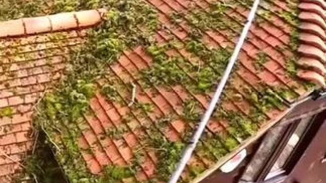 我发布了一个新视频，快来围观吧！