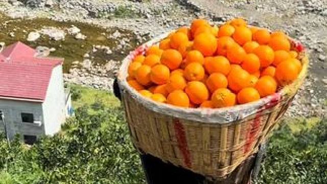 能服务老百姓才是真正的科技 #科技  #无人机  #真实事件  #科技改变生活