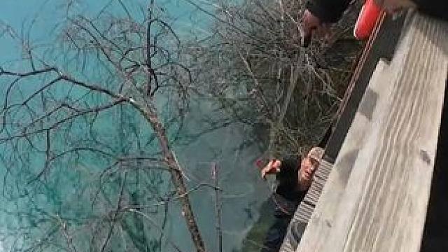 #九寨沟景区管理水平是天花板吧 好好的工作人员...这个九寨沟天天going我！！！#九寨沟 #人文