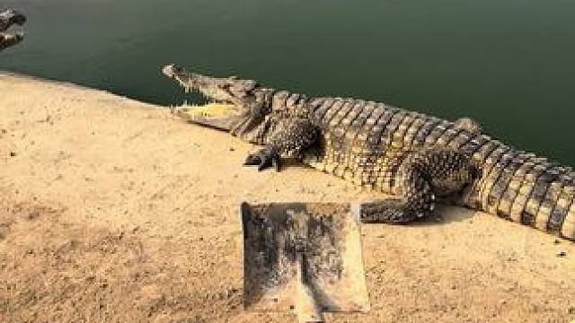 抽空锻炼一下身体#非专业人士请勿模仿