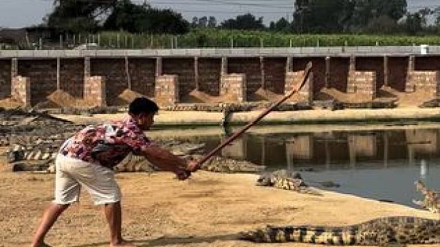 小胖子被吓一跳#非专业人士请勿模仿