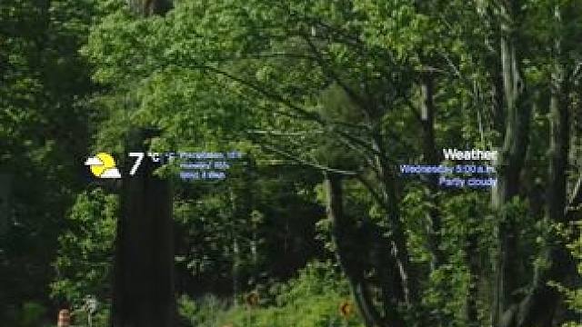 “原来春天这么美，幸好没有腐烂在冬天.”