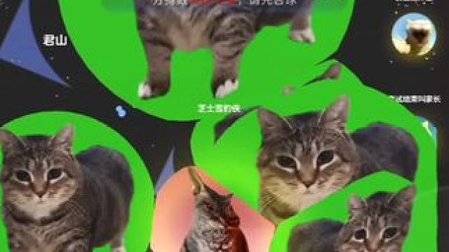 我服了 这游戏有赢的吗？#球球大作战君山#球球大作战 #球球大作战闪击战