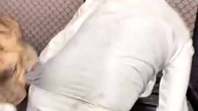 被咬住后果不堪设想#狮子