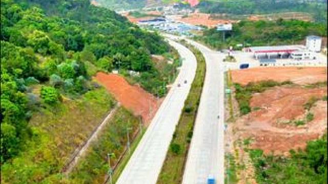 去几百公里外的他乡看杜鹃花，不如到我们的紫金七木寨公园顶去看看，既能锻炼又能赏花 #紫金七木寨公园#