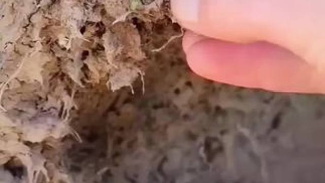 解压洗车 #解压 #国外视频分享 #高压水枪 #洗车