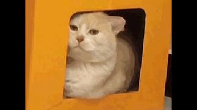 游戏党狂喜，玩游戏不再烫手，这次17系列真的牙膏挤爆！