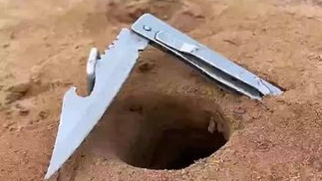 见者好运 #我的农村生活 #内容启发搜索 #见者好运 #乡村新农人 #野生动物零距离