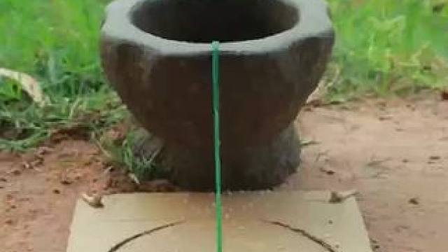 户外养鸡 #我的农村生活 #内容启发搜索 #我的乡野山居生活 #乡村新农人 #野生动物零距离