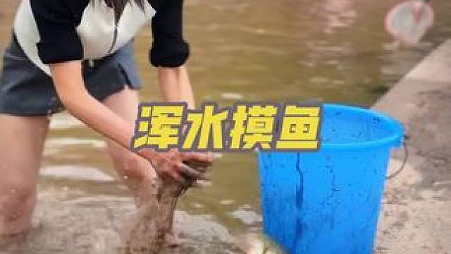 #抓鱼 #浑水摸鱼 #乡村生活体验 ，双福做批发的老板两年没来了抓鱼还是这么厉害