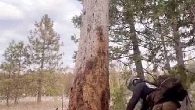 我发布了一个新视频，快来围观吧！