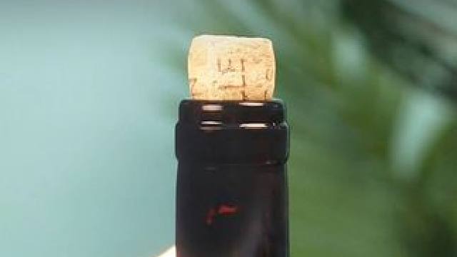 这就是能让孩子放下手机，爱上学习的科学小知识，不仅提升思维还能打下坚实的物理化知识#物理启蒙 #涨知