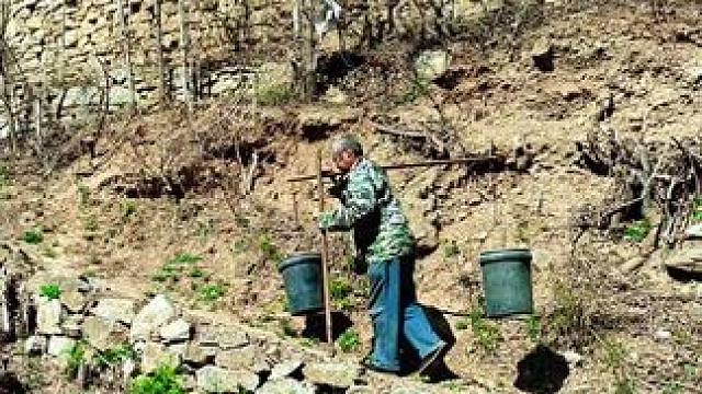 #记录真实生活 #田间地头走一走 #济南市十八盘村。由种地不挣钱，村的年青人都到城里工作去了，现在还