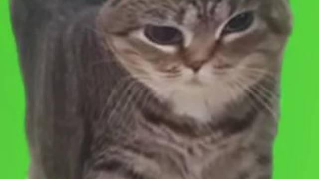 像是一头雄狮在巡视自己的领地#球球大作战 #球球大作战小游戏#我们球球玩家是这样的 #球球四月日常征