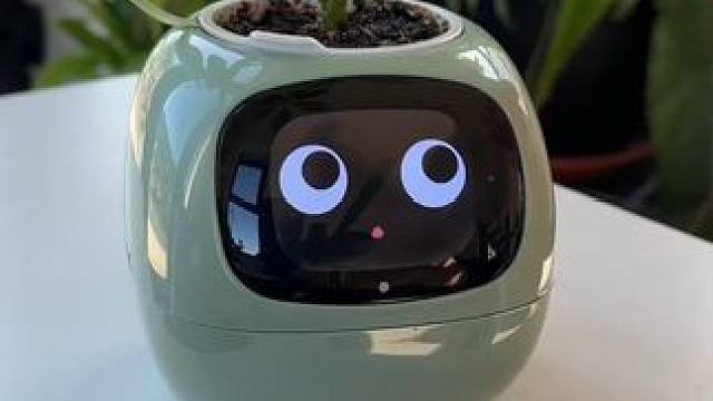 植物也有喜怒哀乐的~ #玩个很新的东西